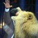 Is Apple’s latest OS X performing as well as expected? Only 14% Mac users are on Lion