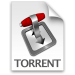 Mac OS X: how to download a Torrent file larger than 4GB